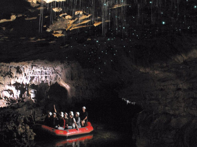 new zealands ancient waitomo glowworm caves are brightly lit thanks to ceilings covered in thousands
